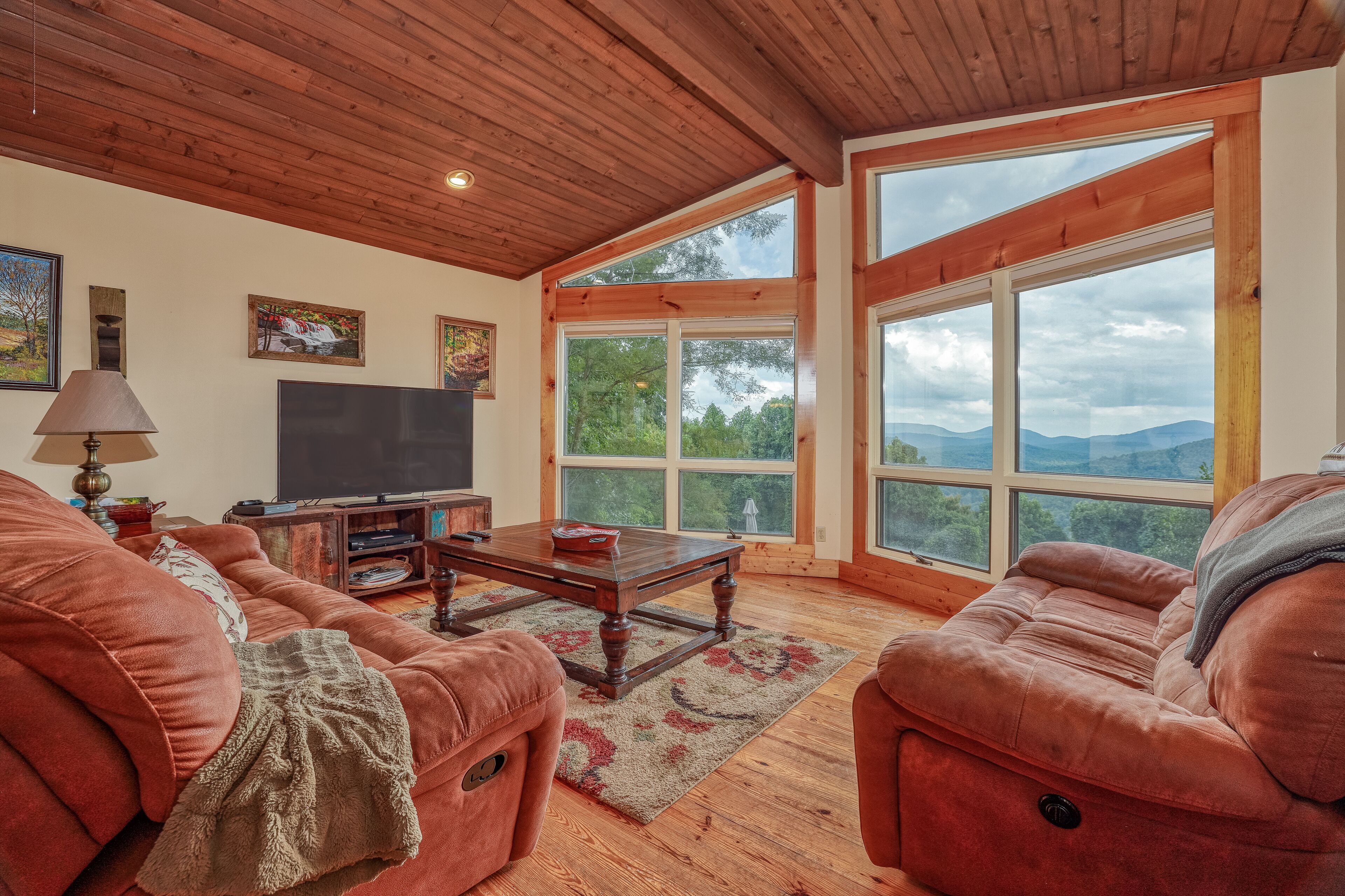 电视、壁炉、DVD 播放器、书