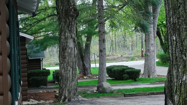 A residential driveway with a wooden fence, a stone pathway, and a well-maintained lawn. - 3-Bed Sleeping Cabin Near Geneva Lake – Walk to Dining & Beach (Williams Bay)