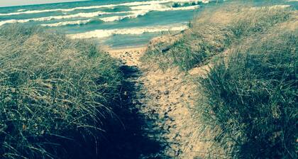 Saugatuck/Douglas Cozy Cottage Walking Distance To Town, 1 Mile To Lake Michigan
