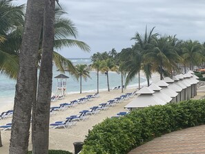 Una playa con filas de tumbonas, palmeras y una torre de salvavidas.
