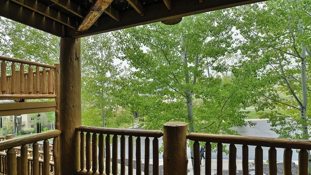 Une terrasse en bois avec des garde-corps, une vue sur les arbres et une étendue d’eau en arrière-plan.