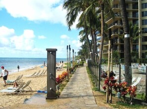 On the beach - Wonderful 2BR/ 2BA Oceanview Condo (Lahaina)