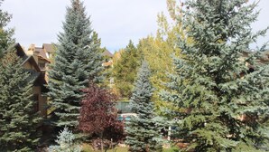 Un quartier résidentiel comprenant plusieurs maisons, une piscine et différentes espèces d’arbres à feuilles persistantes.