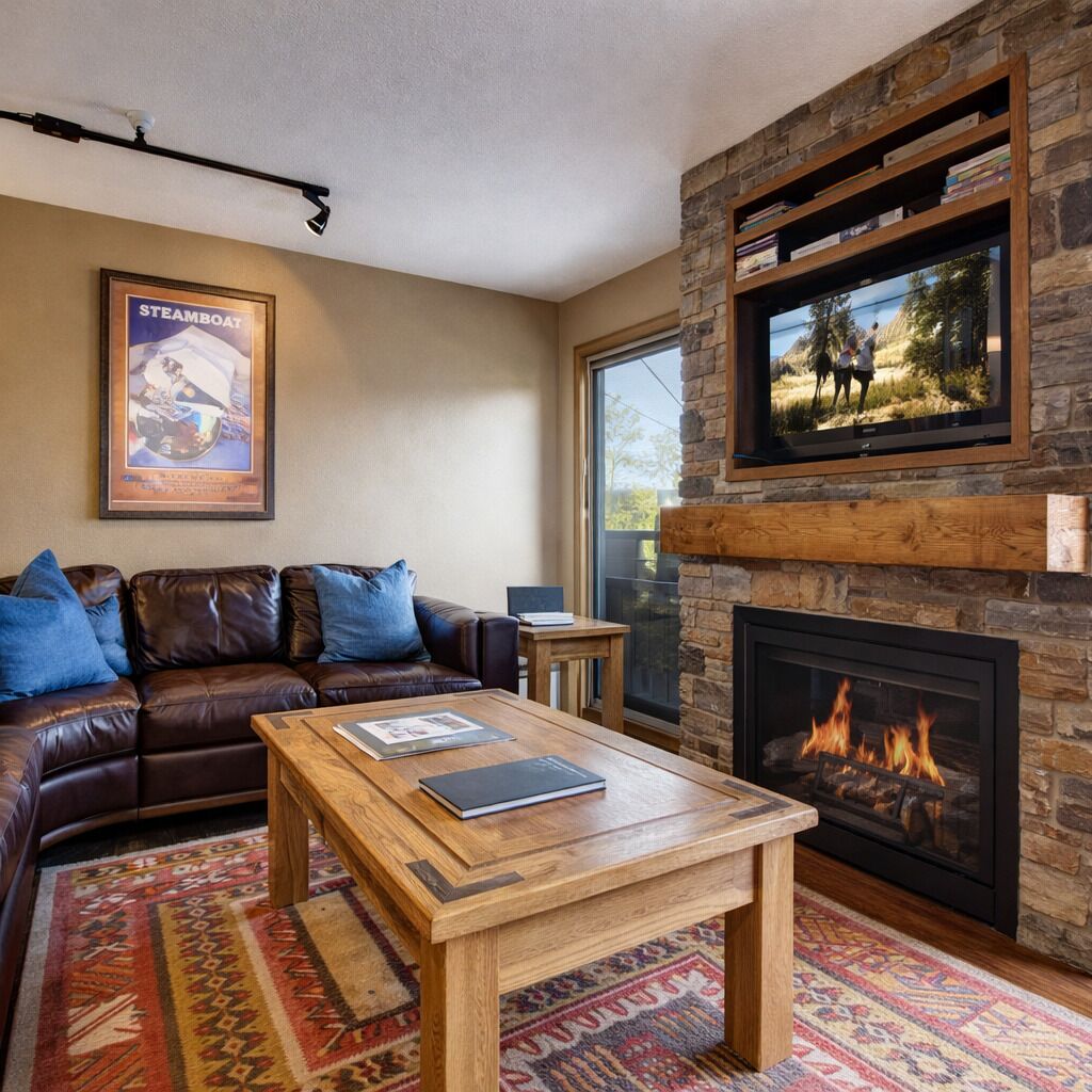 Fireplace, DVD player