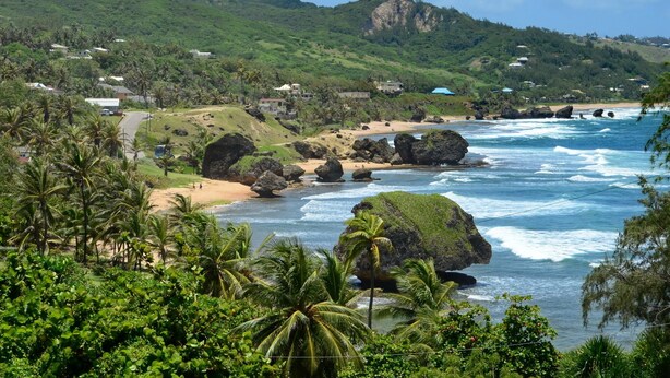 Un paisaje costero con afloramientos rocosos, palmeras y una carretera que conduce a una playa.