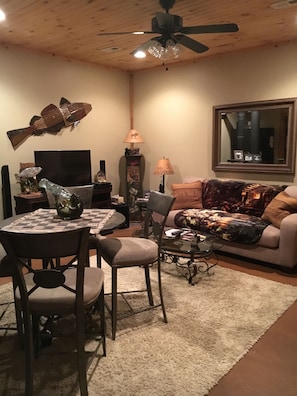 TV, fireplace, DVD player, video library