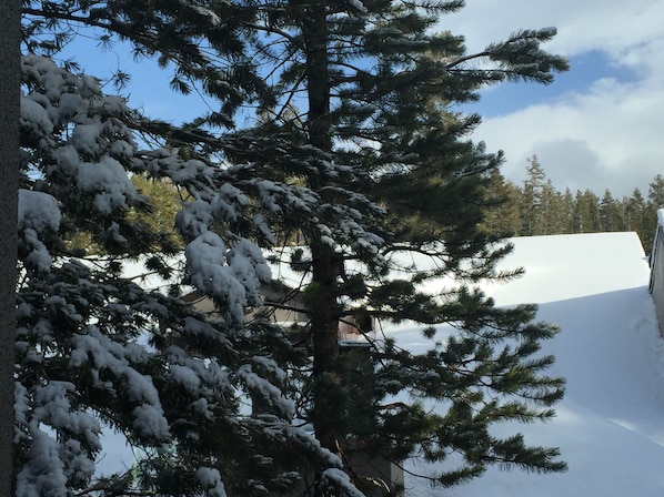 Property grounds - 4 minute Walk to Canyon Lodge from Luxury Remodeled Ski Condo at Chamonix #83 (Mammoth Lakes)