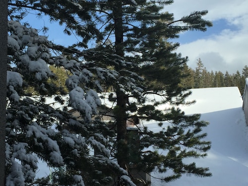 4 minute Walk to Canyon Lodge from Luxury Remodeled Ski Condo at Chamonix #83