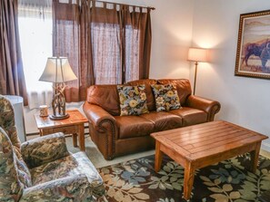 Televisio, DVD-soitin