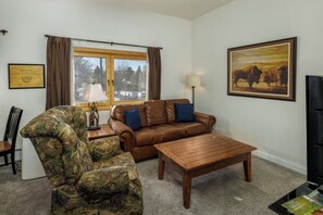 电视、DVD 播放器