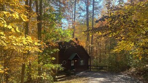 Un chalet rustique entouré d’un feuillage automnal, accessible par un sentier de terre.