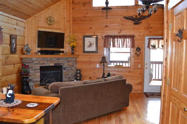 Smart TV, fireplace, DVD player, books