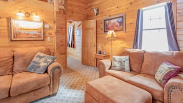 Smart TV, fireplace, DVD player, books