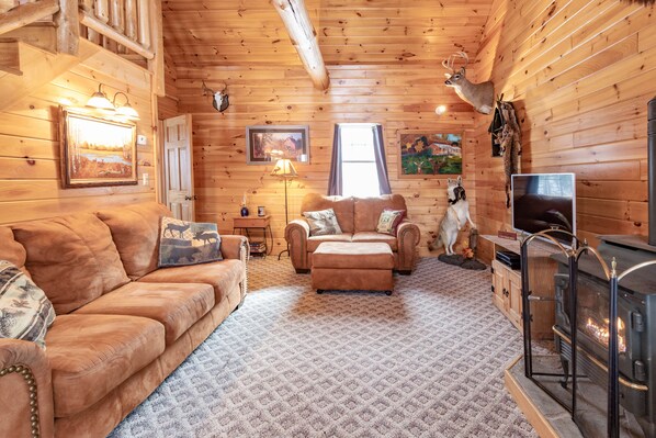 TV connectée, cheminée, lecteur de DVD, livres