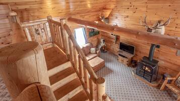 Smart TV, fireplace, DVD player, books