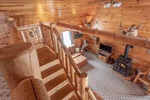 TV connectée, cheminée, lecteur de DVD, livres