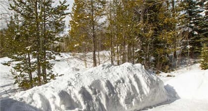 RMR: 4 BR Ski-in / Ski ulos Teton Village Granite Ridge Lodge + Free Fun