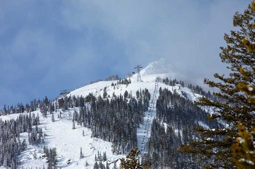 A snow-covered mountain with ski lifts and dense coniferous forest.
