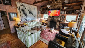 Smart TV, fireplace, books, music library