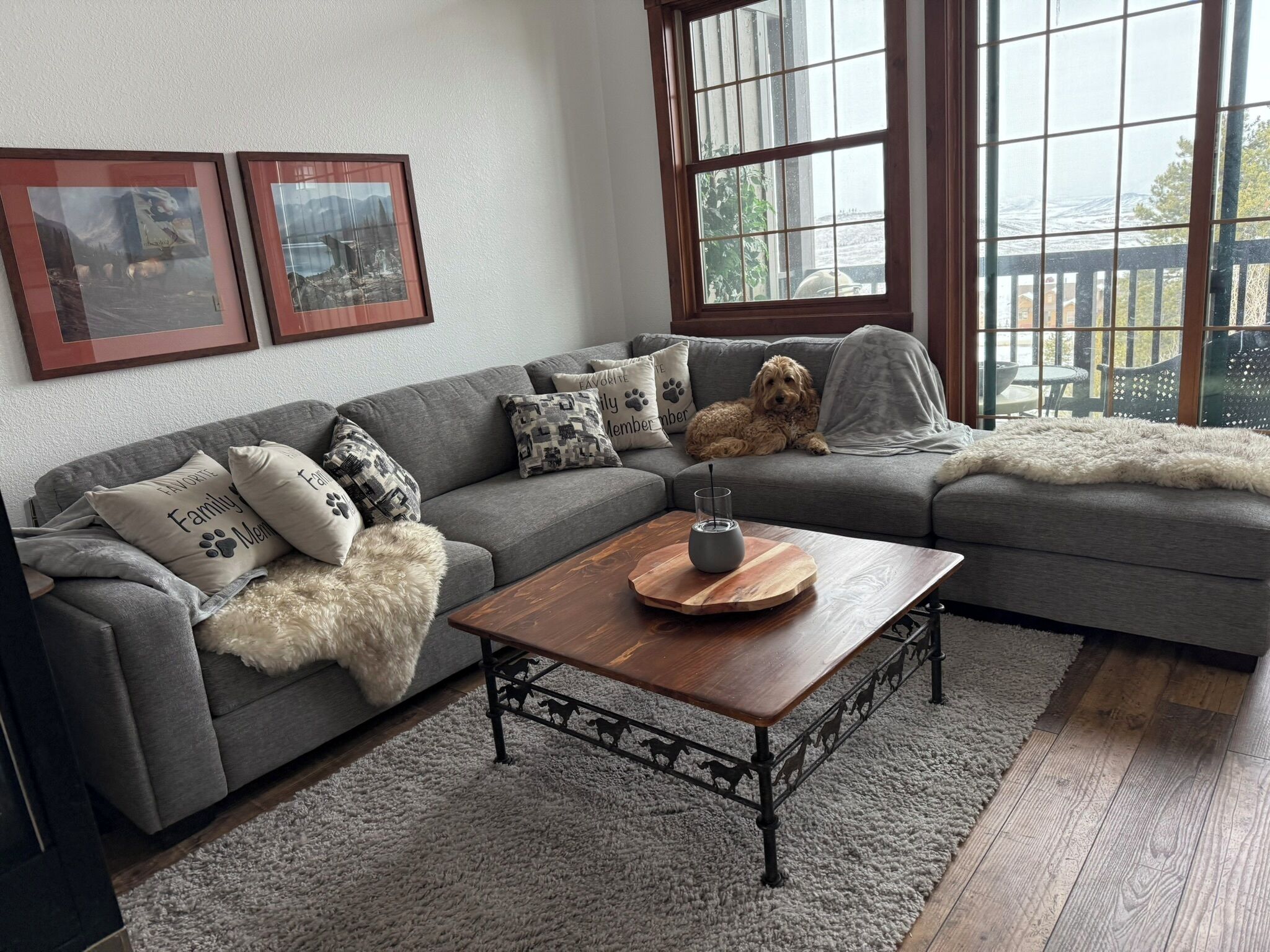 Televisio, takka, DVD-soitin, videokirjasto