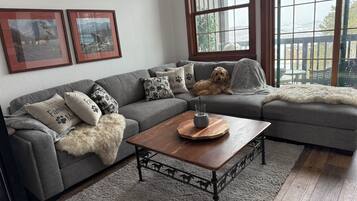 TV, fireplace, DVD player, video library