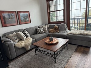 TV, fireplace, DVD player, video library