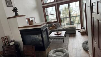 TV, fireplace, DVD player, video library