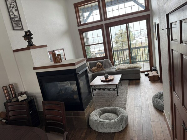 Televisión, chimenea, reproductor de DVD y videoteca