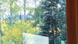 Una ventana con vista a un área boscosa y una pintura de paisaje.