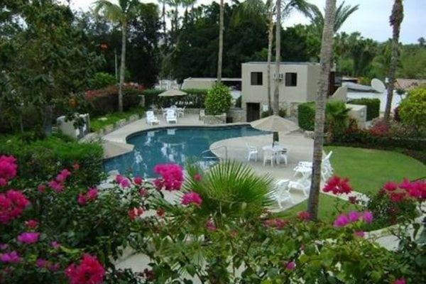 lush tropical pool area