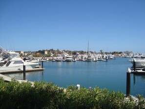 Marina