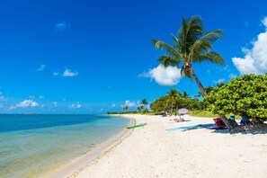 A beach with clear blue water, a sandy shore, and palm trees. - Gorgeous Waterfront 3 Bedroom Coral Lagoon Villa, Sleeps 8, with 40' Boat Slip! (Marathon)