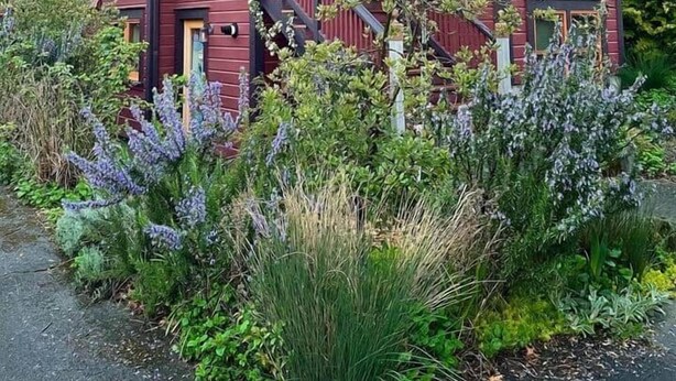 A two-story house with a red exterior, a wooden staircase, and a garden with various plants. - Walkable Sellwood 2BR Apartment (Portland)