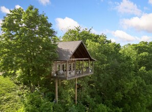 A wooden treehouse with a balcony, surrounded by dense green foliage.