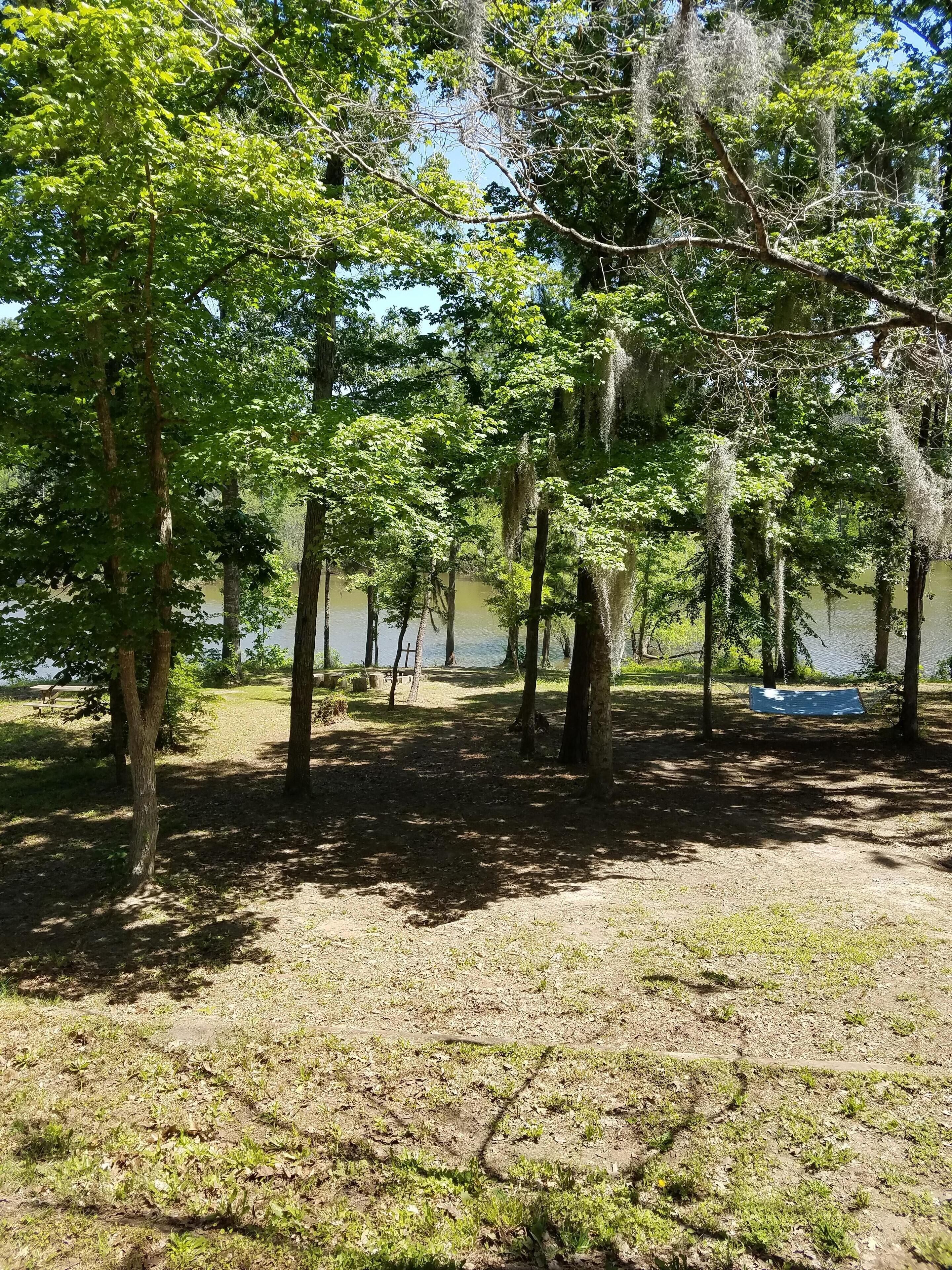 A natural setting with trees and a body of water.