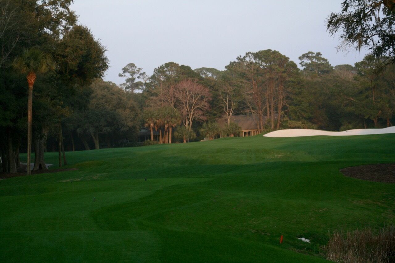 A golf course with a well-maintained green, sand bunkers, and tall trees in the background.