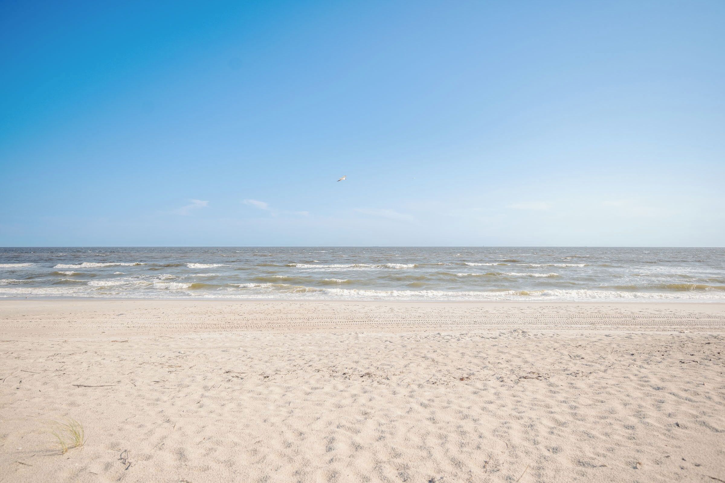 Uma praia com céu claro e ondas.
