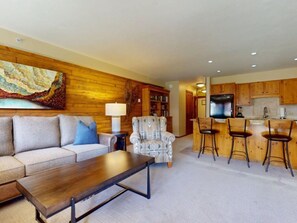 TV, fireplace, books