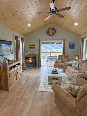 Televisión, chimenea, reproductor de DVD, libros