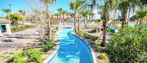 A swimming pool with a curved design, surrounded by palm trees and lounge chairs.