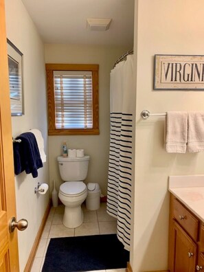 Combined shower/bathtub, jetted bath, hair dryer, towels