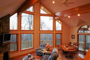 Televisión, chimenea, reproductor de DVD y tenis de mesa