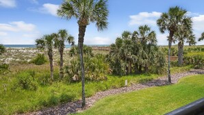 Kustlandschap met palmbomen en een gazon.