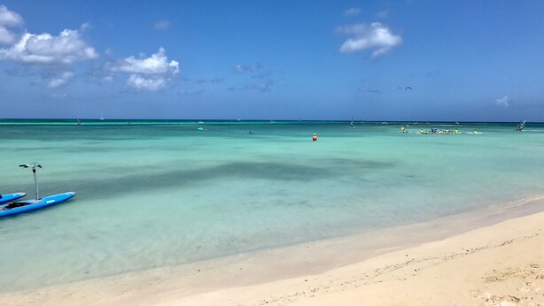 A beach with clear turquoise water, a sandy shore, and a few boats. - 5 BDR, 6 BATH LUXURY VILLA WALK TO RITZ , MARRIOTT & PALM BEACH (Noord)