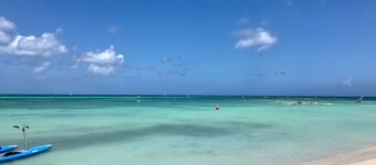 5 BDR, 6 BATH LUXURY VILLA WALK TO RITZ , MARRIOTT & PALM BEACH