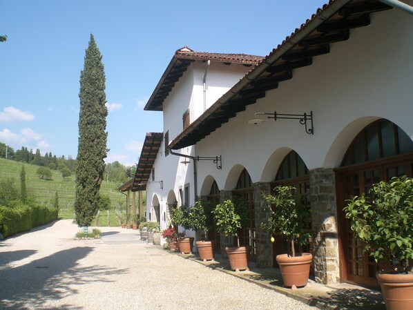Exterior - wonderful area in the middle of the vineyards where you can relax and taste wine (Manzano)