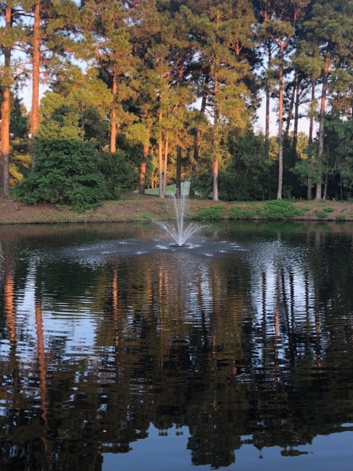 منوع