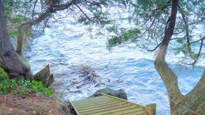 A wooden viewing platform overlooking a turbulent sea with rocky outcrops and dense foliage.