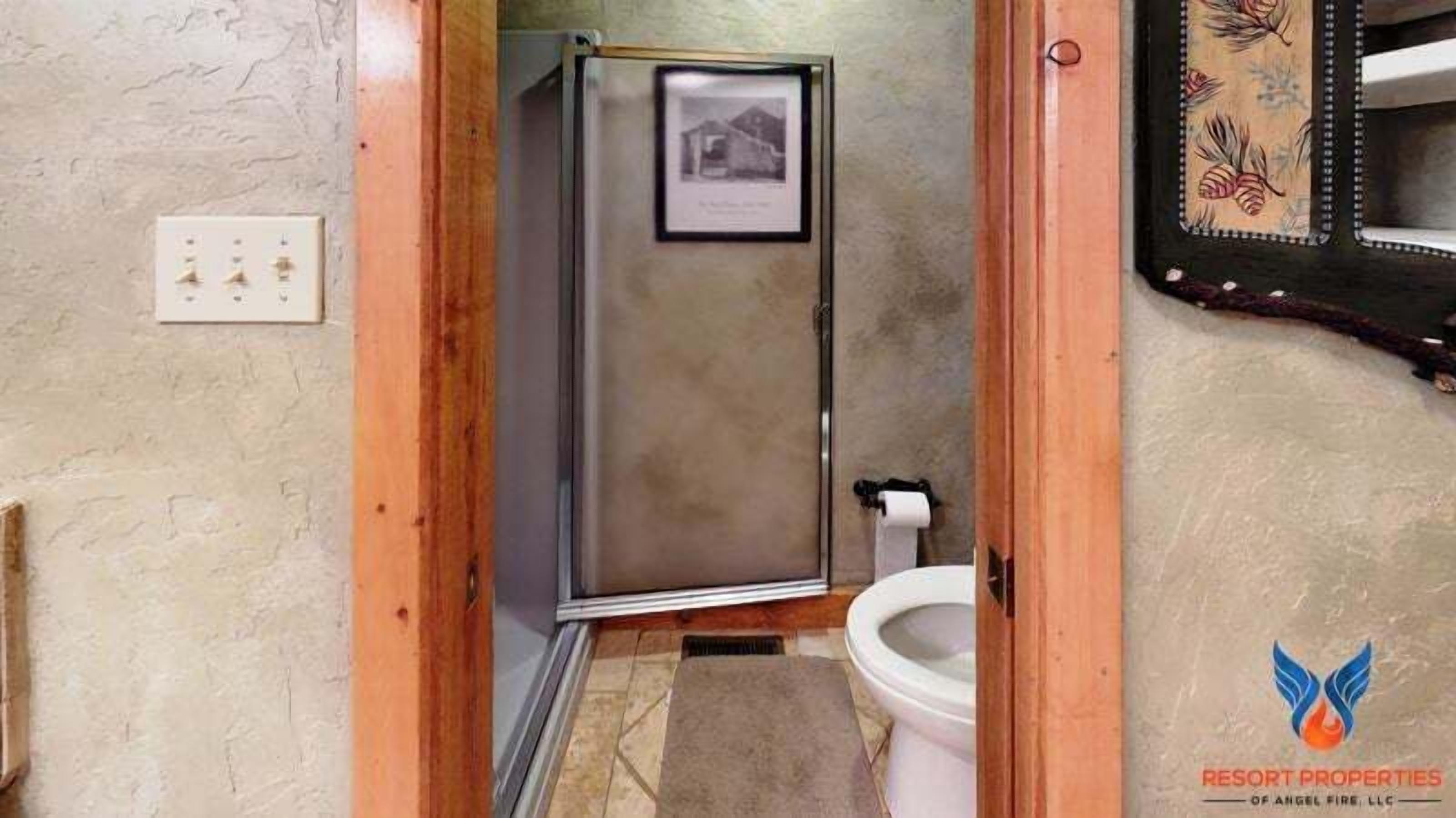 Un bagno con doccia, WC e un quadro appeso al muro.