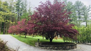 Un árbol de hojas rojas en un jardín ajardinado con un sendero de grava y un muro de piedra.